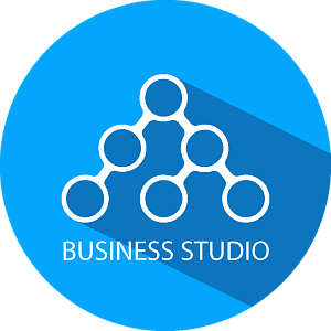 Business Studio 6 Enterprise. Конкурентная лицензия